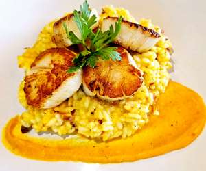 Scallops & Butternut Squash